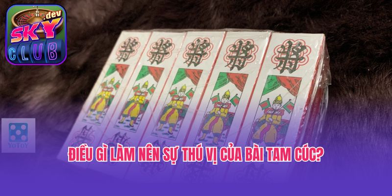 Điều gì làm nên sự thú vị của bài Tam Cúc?