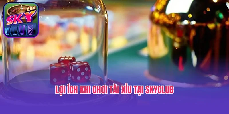 Lợi ích khi chơi tài xỉu tại SkyClub